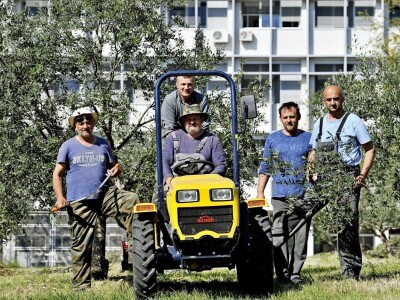 BRANITELJSKE SOCIJALNO-RADNE ZADRUGE PAUK-ČEKA I VRLIČANKA