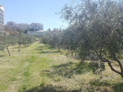 BRANITELJSKE SOCIJALNO-RADNE ZADRUGE PAUK-ČEKA I VRLIČANKA