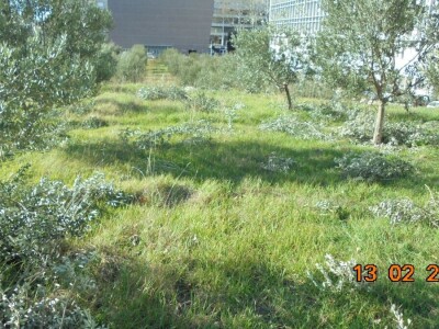 BRANITELJSKE SOCIJALNO-RADNE ZADRUGE PAUK-ČEKA I VRLIČANKA