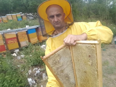 BRANITELJSKE SOCIJALNO-RADNE ZADRUGE PAUK-ČEKA I VRLIČANKA