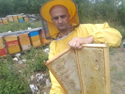 BRANITELJSKE SOCIJALNO-RADNE ZADRUGE PAUK-ČEKA I VRLIČANKA