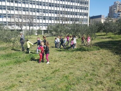 BRANITELJSKE SOCIJALNO-RADNE ZADRUGE PAUK-ČEKA I VRLIČANKA