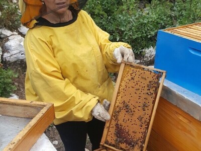 BRANITELJSKE SOCIJALNO-RADNE ZADRUGE PAUK-ČEKA I VRLIČANKA