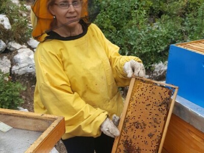 BRANITELJSKE SOCIJALNO-RADNE ZADRUGE PAUK-ČEKA I VRLIČANKA