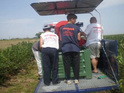 Ni strojna berba ne može proći bez nadzora