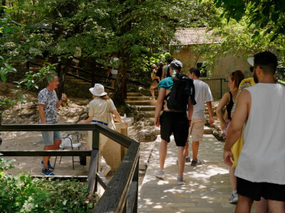 Brankica Borović uzgaja smilje i magarce Brankica Borović uzgaja smilje i magarce