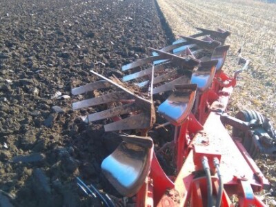 OPG Nićivojević OPG Nićivojević