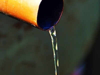 Branko Drljača: Rakija Šljivovica osvojila Zlatnu medalju Branko Drljača: Rakija Šljivovica osvojila Zlatnu medalju