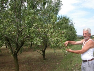 Branko Kaloper i njegovi bajami