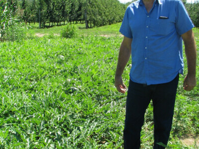 Branko na polju lubenica