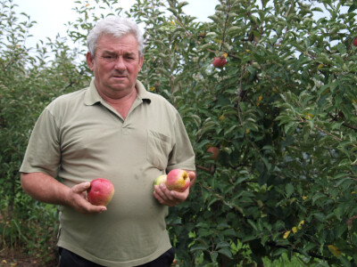 OPG Danica Belačić