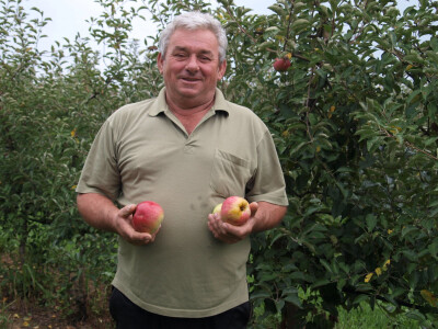 OPG Danica Belačić