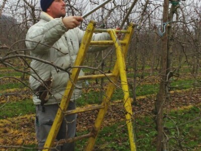 Rezidba u hladne dane