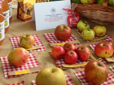 Izložba jabuka u Požegi