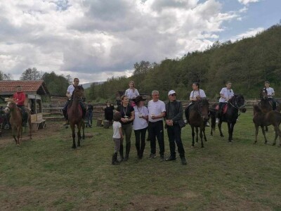 Brdski Konj - Foto Prilozi | Agroklub.rs