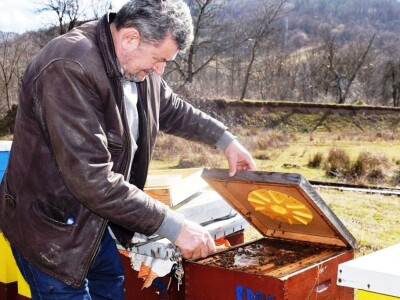 Brige pčelara iz Bajine Bašte