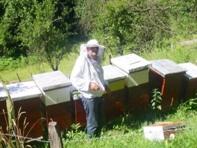 Brige pčelara iz Bajine Bašte