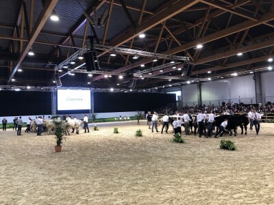 Brisel Expo ponovo ugostio AgriBEX, najveći belgijski sajam poljomehanizacije
