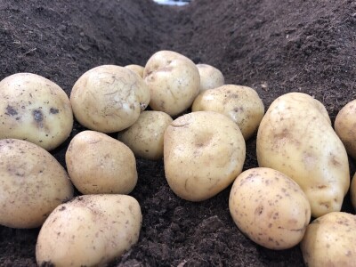 Brisel Expo ponovo ugostio AgriBEX, najveći belgijski sajam poljomehanizacije