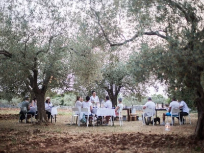 BRIST OLIVE VODNJAN - Badnjak uz tekuće zlato koje je očaralo i Gordona Ramsaya