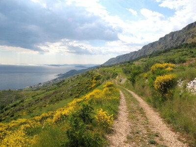 Brnistra u dalmatinskom priobalju