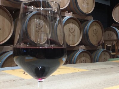 Broćanska žila(vka) kucavica - za smijeh i grijeh