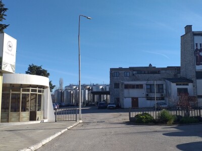 Broćanska žila(vka) kucavica - za smijeh i grijeh