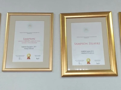 Broćanska žila(vka) kucavica - za smijeh i grijeh