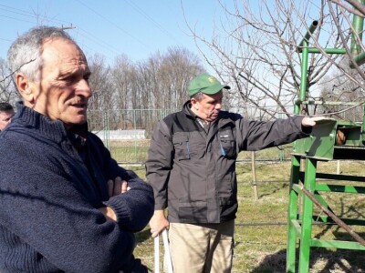 Brod voćnjaci orezivanje