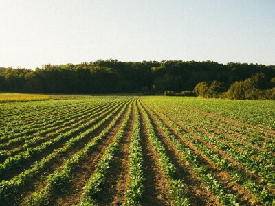 Brza reakcija kao prednost biointenzivnog uzgoja