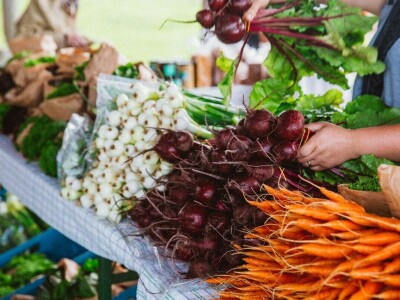 Brza reakcija kao prednost biointenzivnog uzgoja