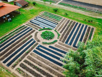 Brza reakcija kao prednost biointenzivnog uzgoja