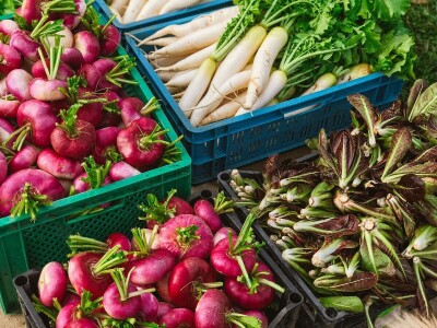 Brza reakcija kao prednost biointenzivnog uzgoja