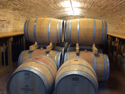 Podrum vinarije Brzica