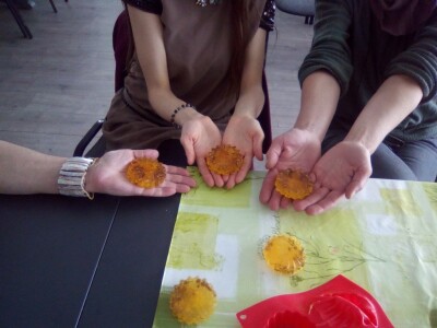 Bubamare će učiti žene sjetvi presadnica i izradi prirodne kozmetike