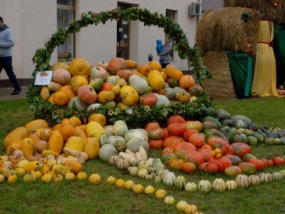Znanstvenici potvrdili da bučino ulje pridonosi zdravlju