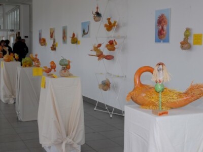 Znanstvenici potvrdili da bučino ulje pridonosi zdravlju