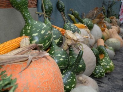 Znanstvenici potvrdili da bučino ulje pridonosi zdravlju