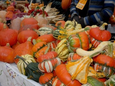 Znanstvenici potvrdili da bučino ulje pridonosi zdravlju