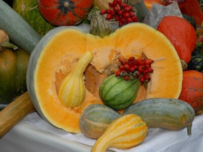 Znanstvenici potvrdili da bučino ulje pridonosi zdravlju