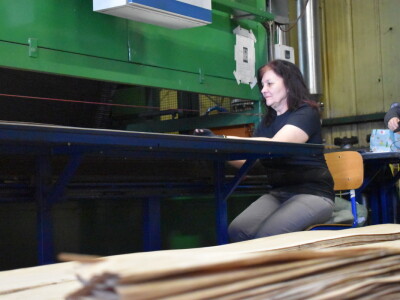 Budući inženjeri drvne tehnologije u tvrtki Spačva i Bjelin