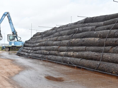 Budući inženjeri drvne tehnologije u tvrtki Spačva i Bjelin