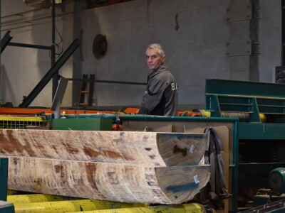 Budući inženjeri drvne tehnologije u tvrtki Spačva i Bjelin