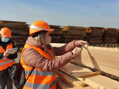 Budući inženjeri drvne tehnologije u tvrtki Spačva i Bjelin