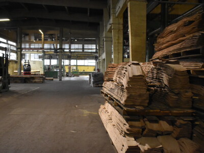 Budući inženjeri drvne tehnologije u tvrtki Spačva i Bjelin