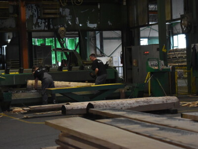 Budući inženjeri drvne tehnologije u tvrtki Spačva i Bjelin