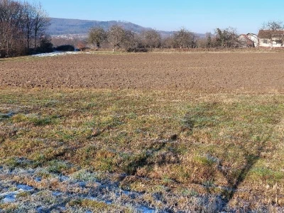 Budući uzgajivač jabuka