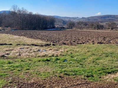 Budući uzgajivač jabuka