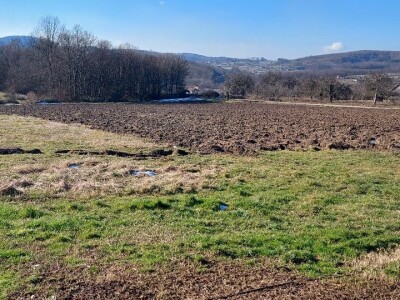 Budući uzgajivač jabuka