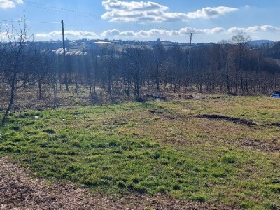 Budući uzgajivač jabuka